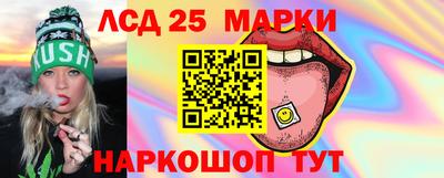 a pvp Новозыбков