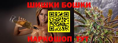 a pvp Новозыбков
