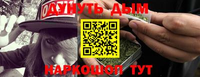a pvp Новозыбков