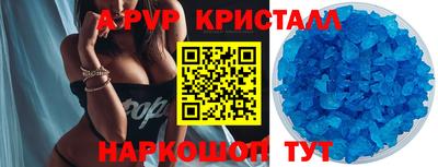 a pvp Новозыбков