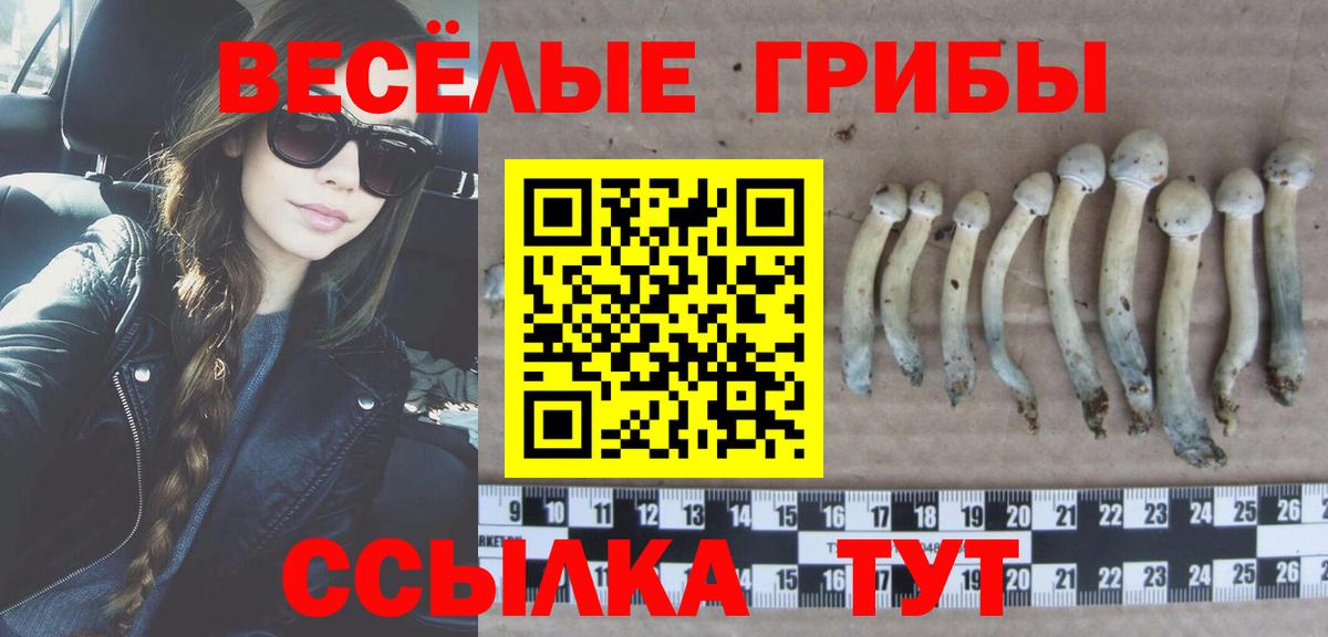 Псилоцибиновые грибы прущие грибы Сунжа