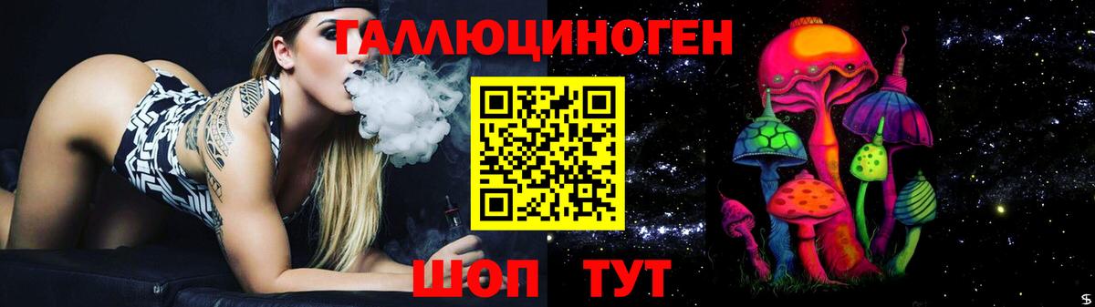 Псилоцибиновые грибы Psilocybe  Галлюциногенные грибы Psilocybe  Вход с VPN  Сунжа 